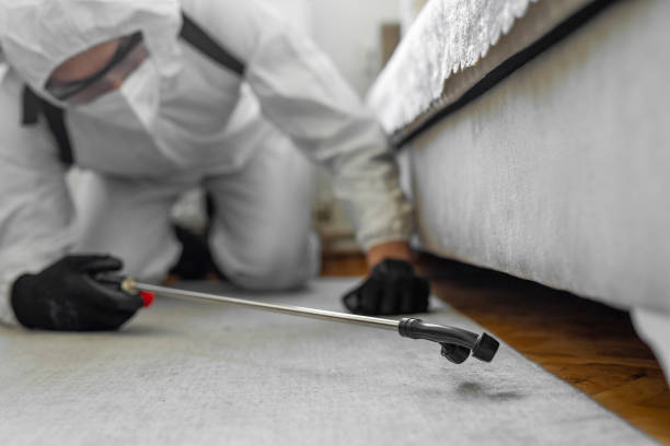 Professional Bed Bug Control technician working in Medina, WA